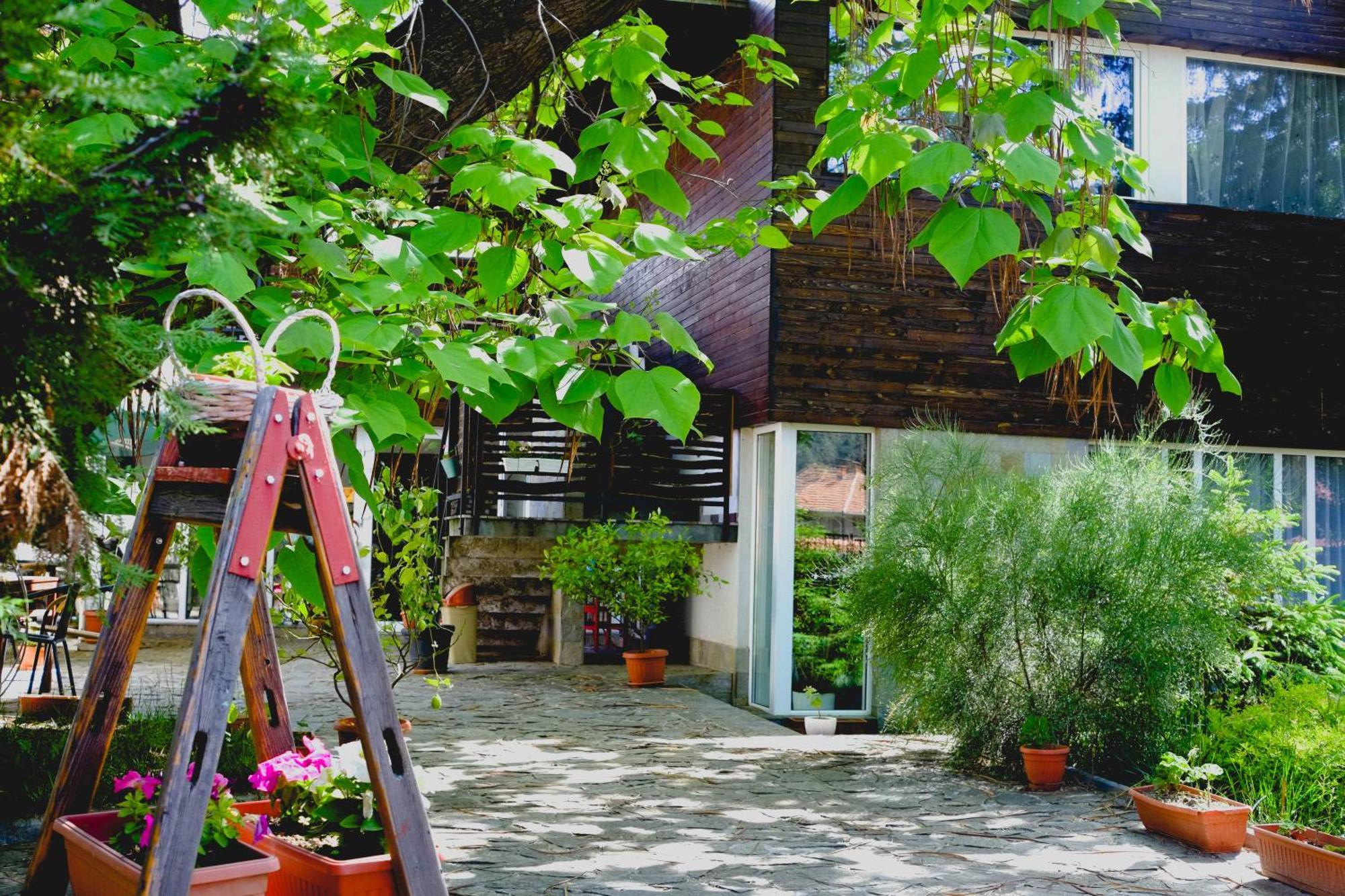 Villa "Forest Way" Pirdop ภายนอก รูปภาพ