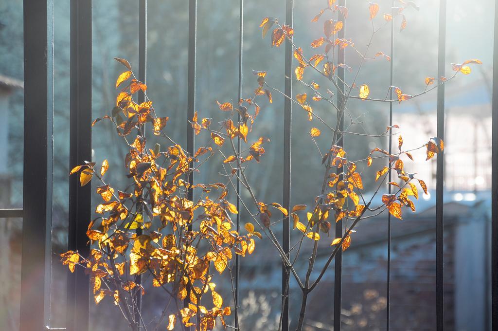 Villa "Forest Way" Pirdop ภายนอก รูปภาพ